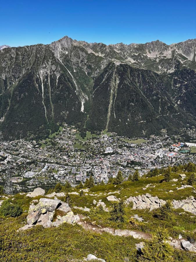 Le Nid De L'Aiguille - Au Pied De L'Aiguille Du Midi Apartment Chamonix ภายนอก รูปภาพ