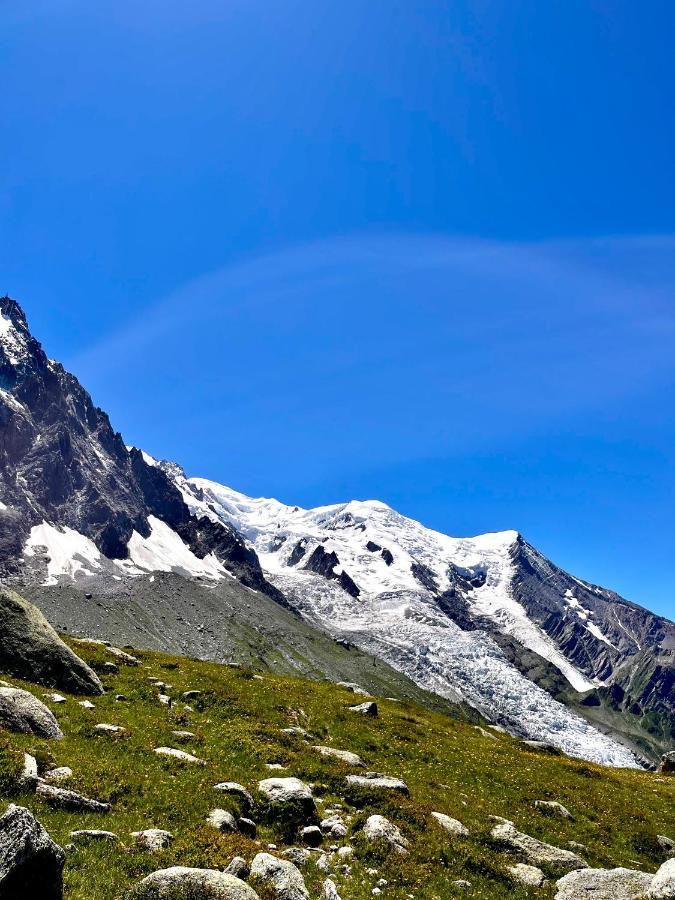 Le Nid De L'Aiguille - Au Pied De L'Aiguille Du Midi Apartment Chamonix ภายนอก รูปภาพ